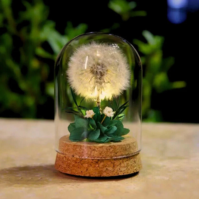Floro – Nachtlamp met Gedroogde Bloemen onder Glas