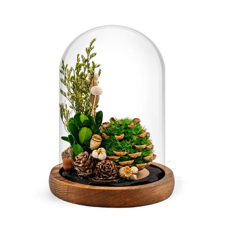 Floro – Nachtlamp met Gedroogde Bloemen onder Glas