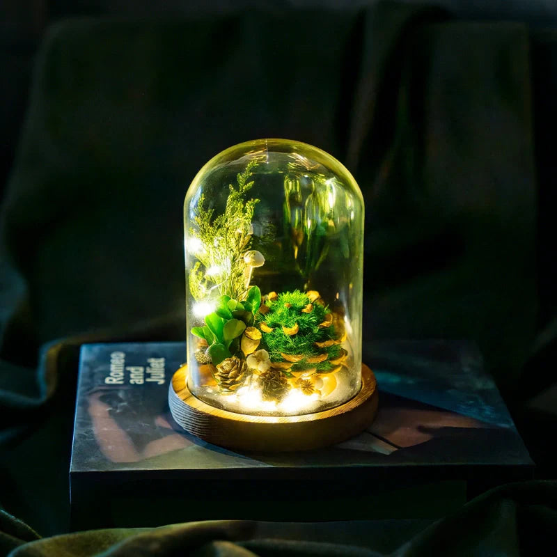 Floro – Nachtlamp met Gedroogde Bloemen onder Glas