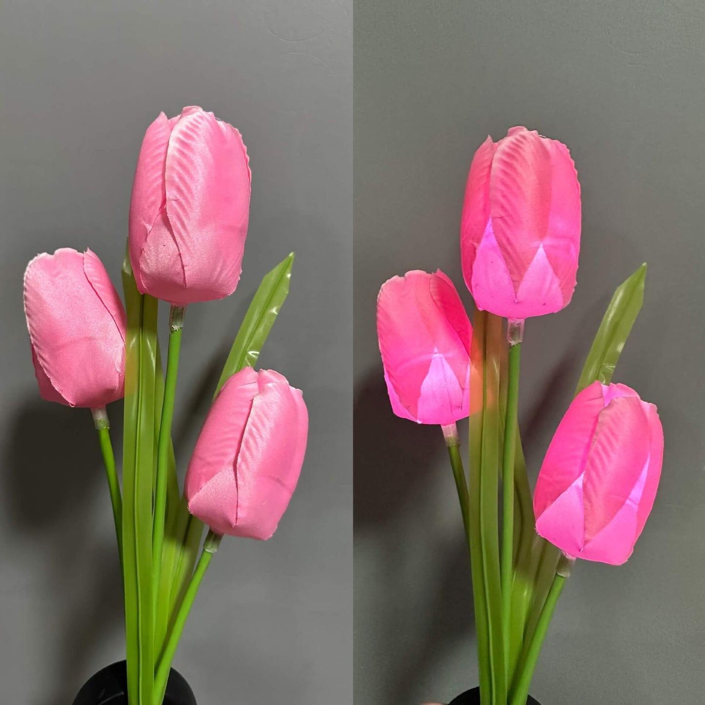 Solar LED Tuinlamp met Tulp Design – Roze/Paars/Blauw/Geel – 1.2 V (1 LED)