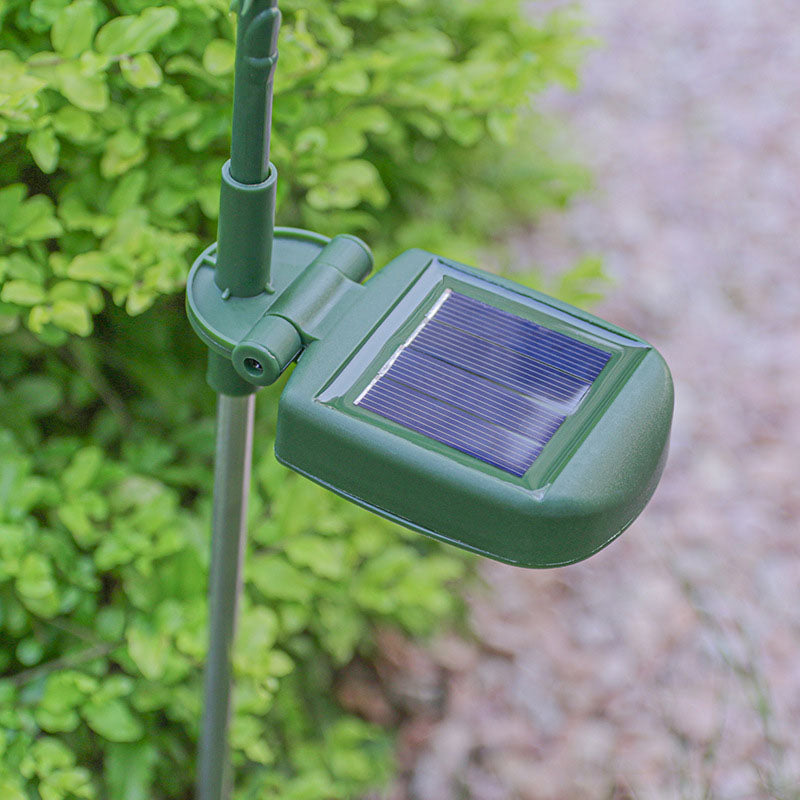 Solar LED Rozen Tuinlamp – Creatief Rood/Roze/Blauw/Champagne – 1.2 V (1 Lichtbron)