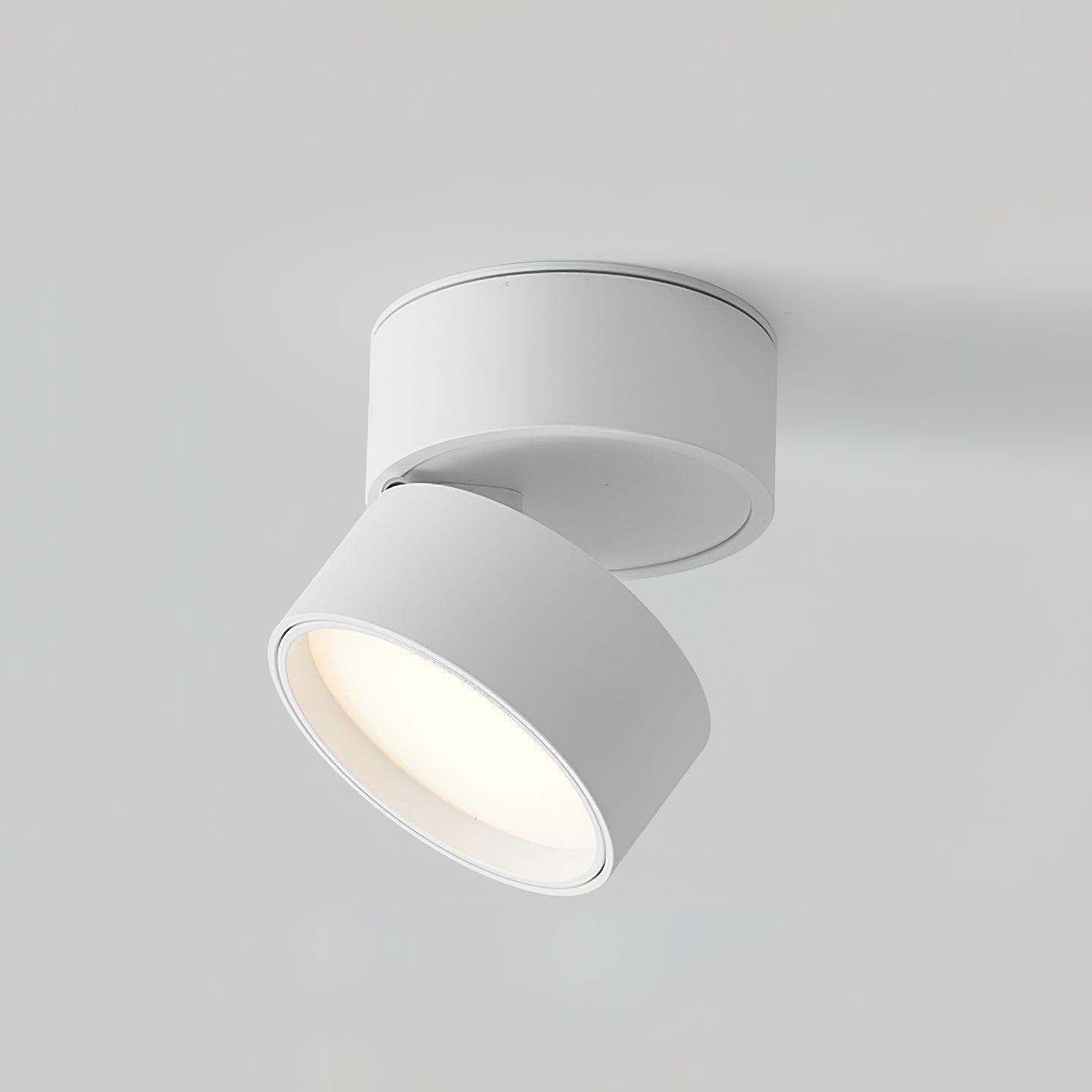 Fäle - Verstelbare LED Spot in Modern Minimalistisch Scandinavisch Design