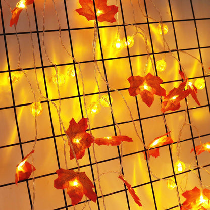 Halloween & Party LED String Light – Geel – 24 V