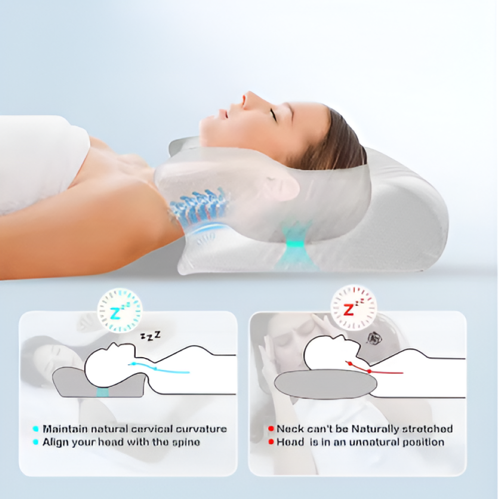 Oreiller Orthopédique Premium – Soutien Ultime de la Nuque et Confort