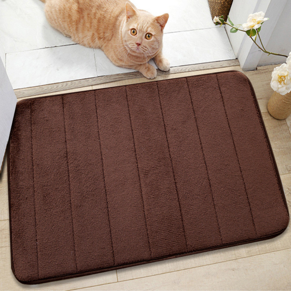 Alfombrilla absorbente para baño – Tapete antideslizante de secado rápido
